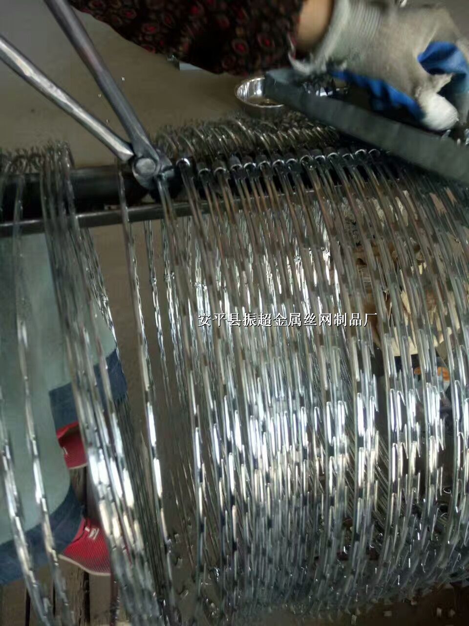 ���P䓵�Ƭ�̾W(w��ng)